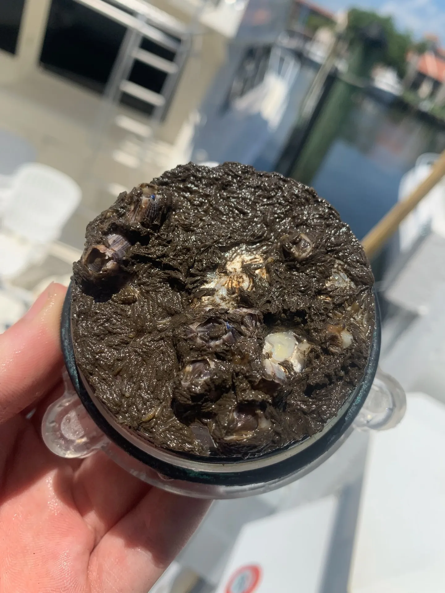 Fouled raw water intake filter caked with marine growth